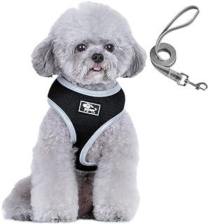 Puppy Harness and Leash Set
