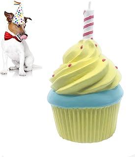 Lanco Dog Birthday Cake Toy – Squeaky Puppy