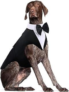 DORA BRIDAL Formal Dog Tuxedo for Medium Large dogs, Labrador Pet Wedding Party Suit Outfit with Detachable Collar Neckerchief Band