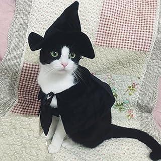Hooded Cloak Witch Costume for Dogs & Cat Kitten