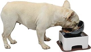 WZ PET Raised Tilted Dog Feeding Bowl Anti-Slip