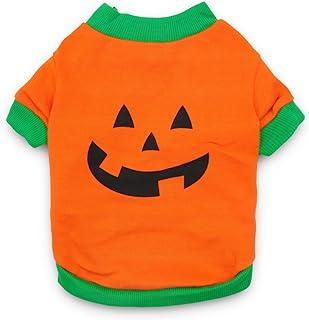 Small Dogs Halloween Shirt Pumpkin Head Costume