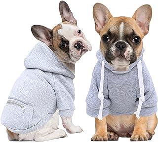 Dog Coats for Small Canines
