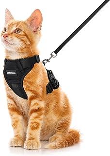 Cat Harness and Leash Set with Reflective Strips