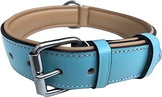 Leather Padded Dog Collar, Turquoise and Beige