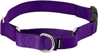 PetSafe Martingale Collar with Quick Snap Buckle, 1″