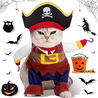 Funny Cat Pirate Costumes