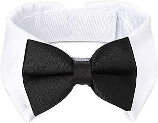 Segarty Bow Tie Dog Collar, Adjustable Handcrafted white collar for Pet Cats Puppies