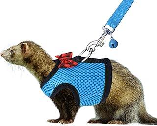 RYPET Small Animal Harness and Leash with Safe Bell, No Pull Comfort Padded Vest
