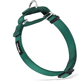 Martingale Collar for Large Boy and Girl Dogs