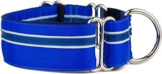 Martingale Collar for Dogs – Adjustable