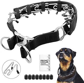 Prong Dog Training Collar with Protector