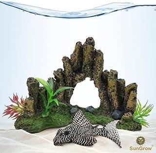 SunGrow Decorative Aquarium Hermit Crab, Leopard Gecko Cave