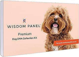 Wisdom Panel Premium Dog DNA Test for Comprehensive Health, Traits and Ancestry