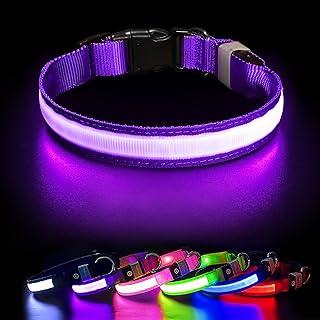 Light up Dog Collar for Night Walking – LED