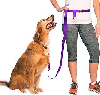 Buddy System Adjustable Hands Free Dog Leash