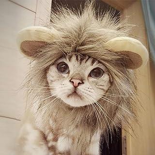 NAMSAN Pet Halloween Costume Cat Lion Mane Wig Pumpkin Hat