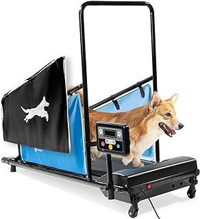 Dog Treadmills