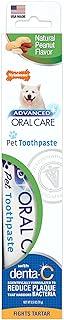 Nylabone Advanced Oral Care Natural Toothpaste Peanut Butter