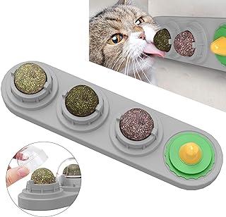 Catnip Ball Toy for Kittens