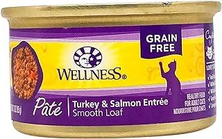 Wellness Cat Food Turkey & Salmon