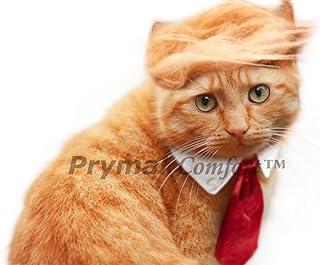 Trump Cat/Dog Costume for Halloween, Party and Pictures