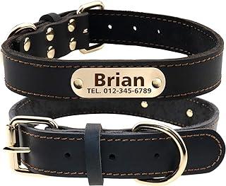TagME Personalized Leather Collar for Medium Dogs