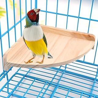 Bird Perch Platform Stand Wood for Small Animals
