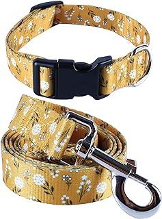 Impoosy 2PCS Cat Dog Floral Collar and Leash Set Pet Gift Adjustable