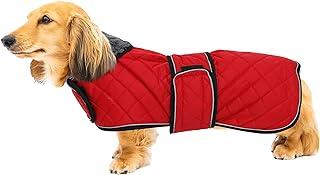 Warm Thermal Quilted Dachshund Coat