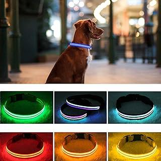 Light Up Dog Collar – USB Rechargeable, Waterproof