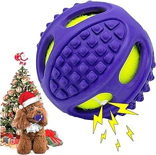 Large Dogs 4inch Tennis in Rubber Case