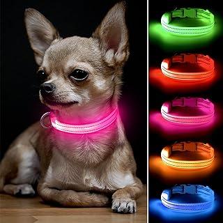 LED Dog Collar Light – USB Rechargeable Glow in The Dark