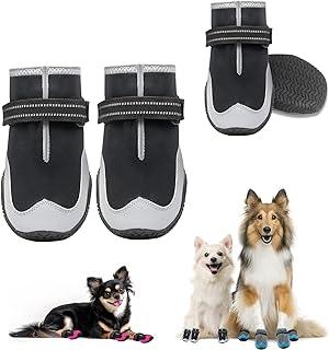 Dog Shoes for Hot Pavement