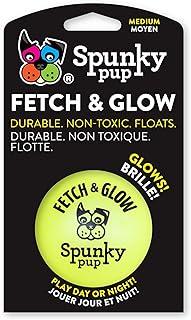 Fetch & Glow Ball Medium (Assorted)
