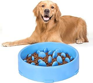 Dog Slow Feeder Bowl, Non-Slip Food Puzzle