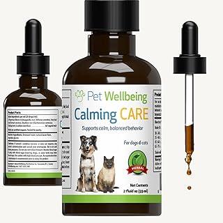 Natural Support for Anxiety & Stress in Canines