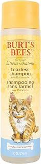 Natural Tearless Shampoo with Buttermilk for Kittens