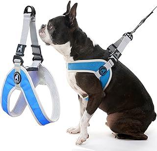 Gooby Simple Step in III Harness with Scratch Resistant Outer Vest