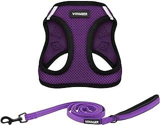 Voyager Step-in Air All Weather Mesh Harness & Reflective Dog 5 Ft
  Leash Combo, Neoprene Handle