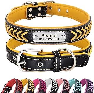 Didog Leather Custom Collar with Personalized Nameplate for Small Medium Large Dogs