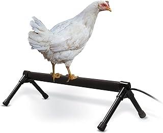 K&H Pet Products Thermo-Chicken Heated Perch