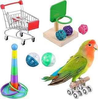 Parrot Training Toys