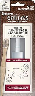 TropiClean Enticers Toothbrush for S/M Dogs