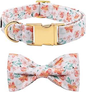 Lionet Paws Dog Collar with Bow tie