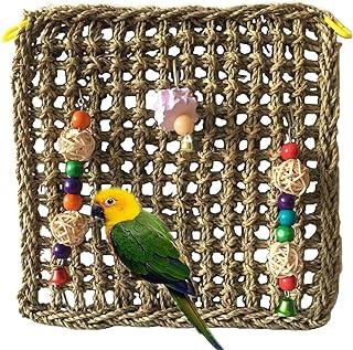 PINVNBY Bird Foraging Wall Toy
