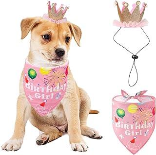 Dog Birthday Bandana Hat Set (Pink)