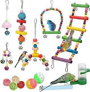 Bird Toys for Small and Medium Parrot, Cockatiels & Conures