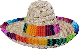 Mexican Party Decorations (Dog Sombrero)