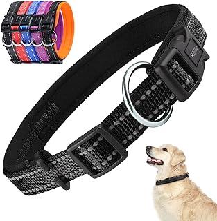 Soft Neoprene Padded Dog Collar – Matching Leashes Available
